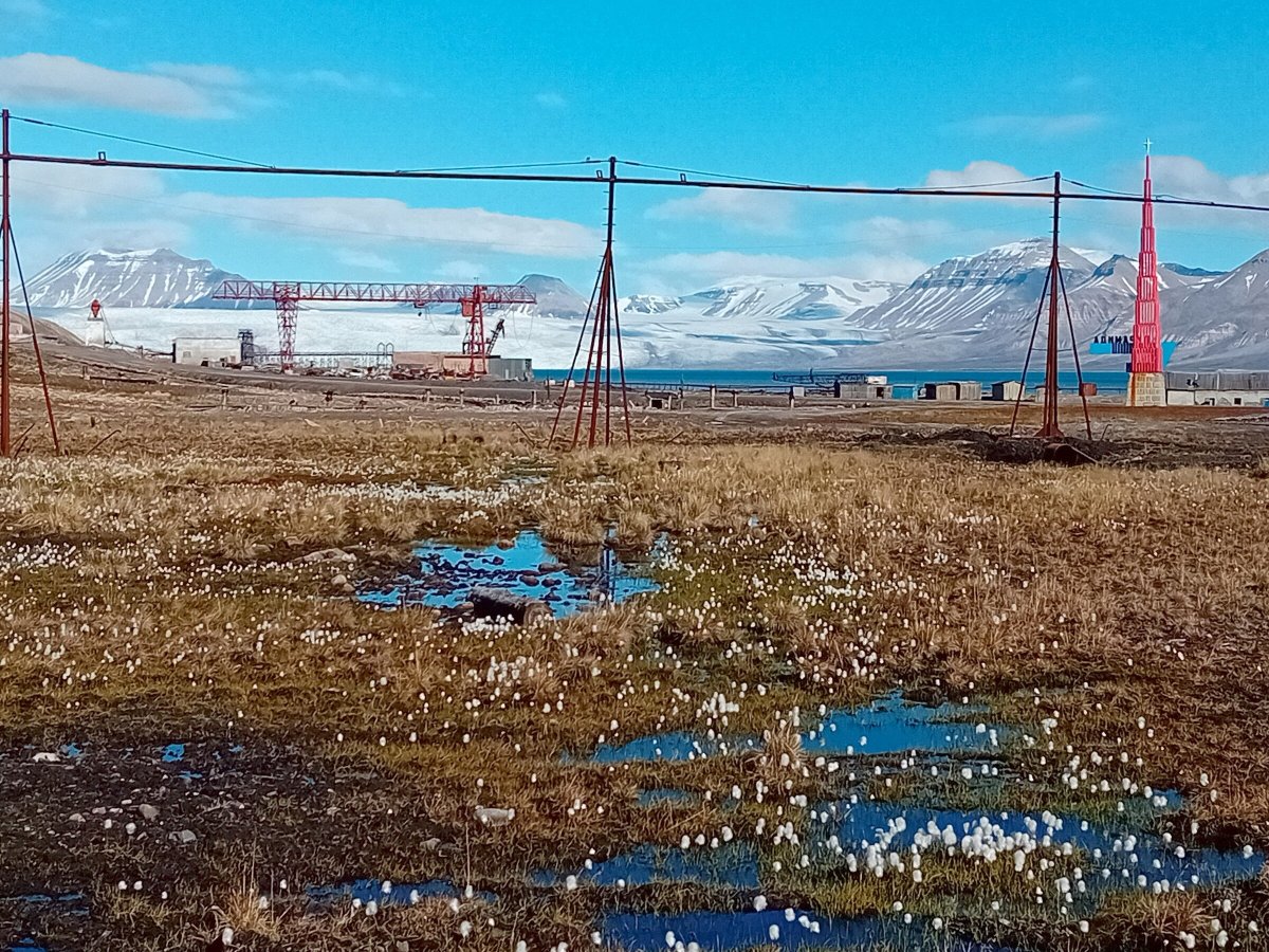 Svalbard Safari Segeln: Ein unvergesslicher Trip