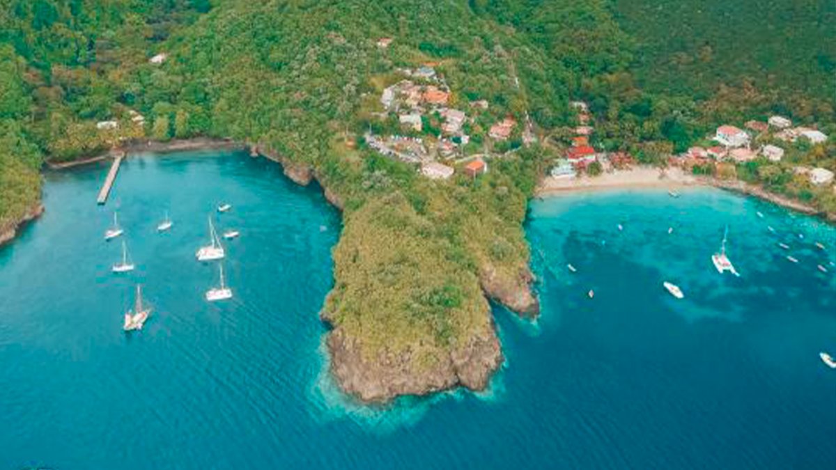 Segeltage nach Martinique zum Schwimmen mit Schildkröten