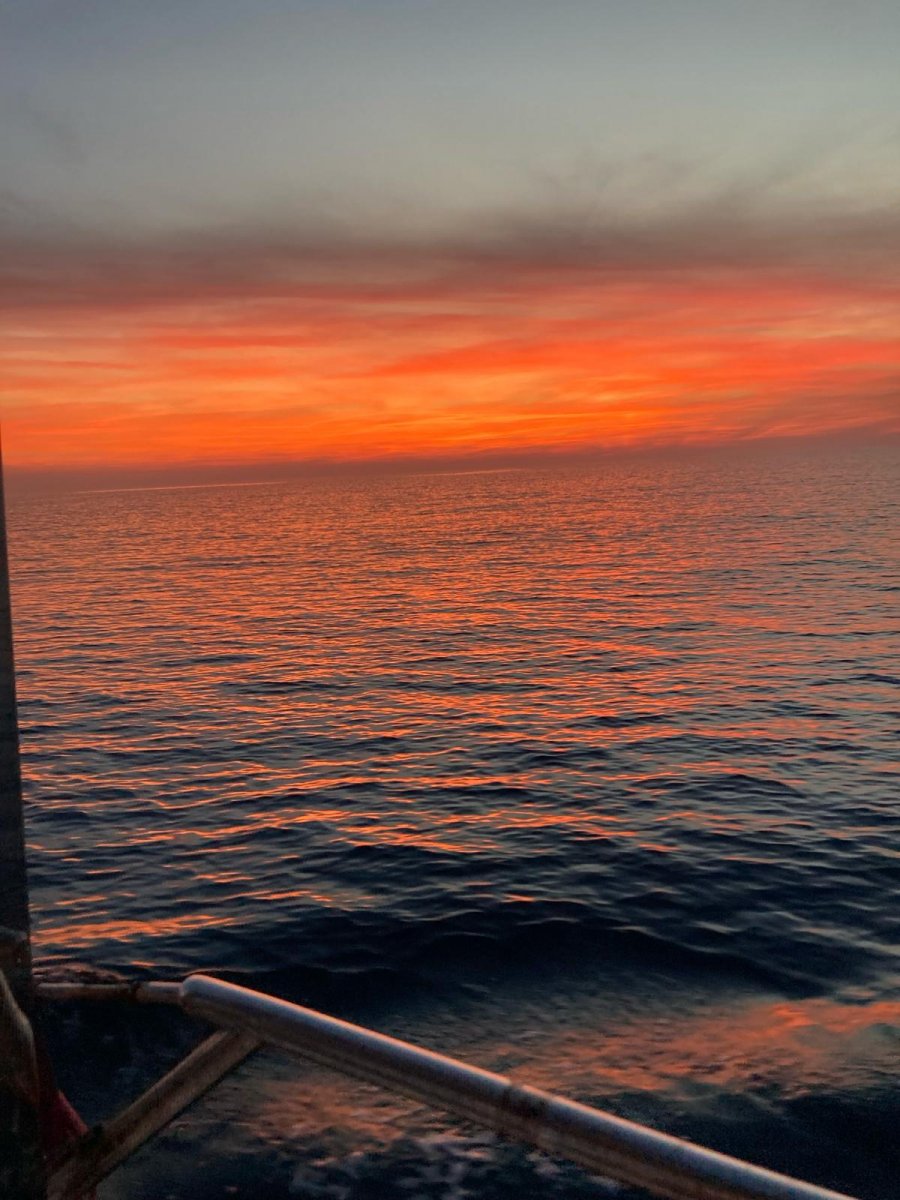 Dolphin Watching Excursion