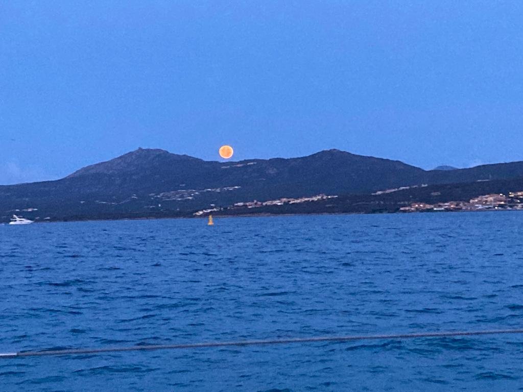 Viaje de un día en barco a Cerdeña desde Córcega