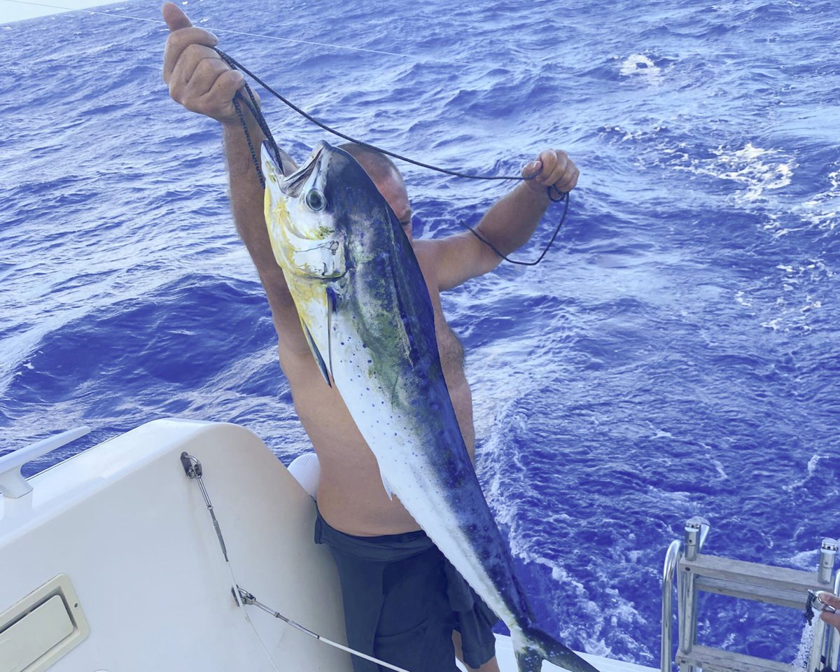Crociera transatlantica in catamarano dal Caraibi a Ibiza