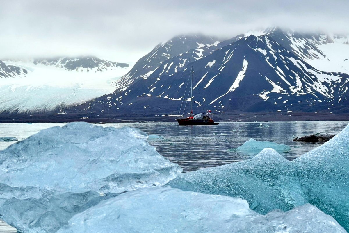 Svalbard Safari Sailing adventure