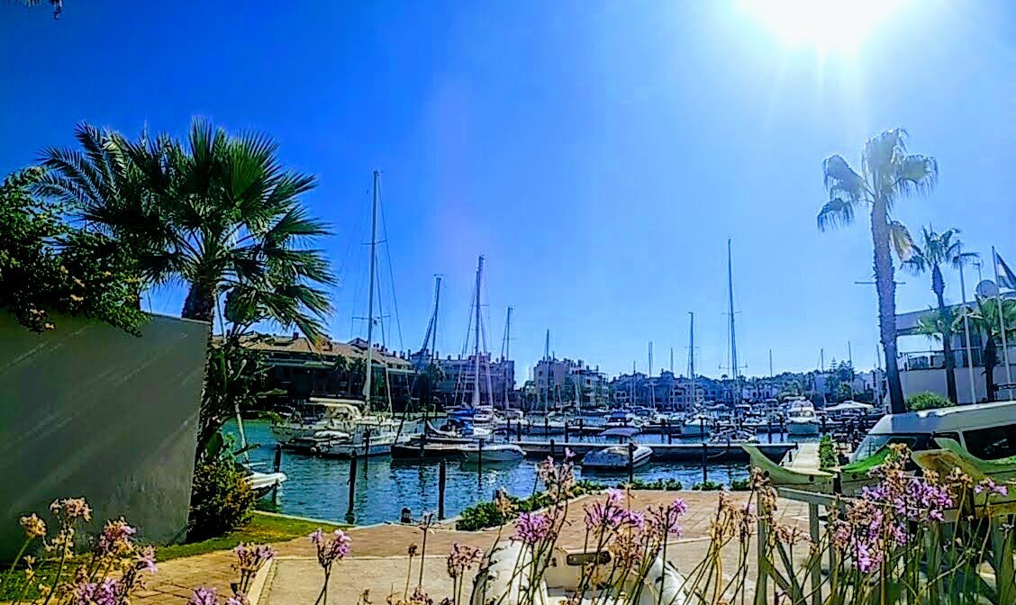 curso-rya-dia-patron