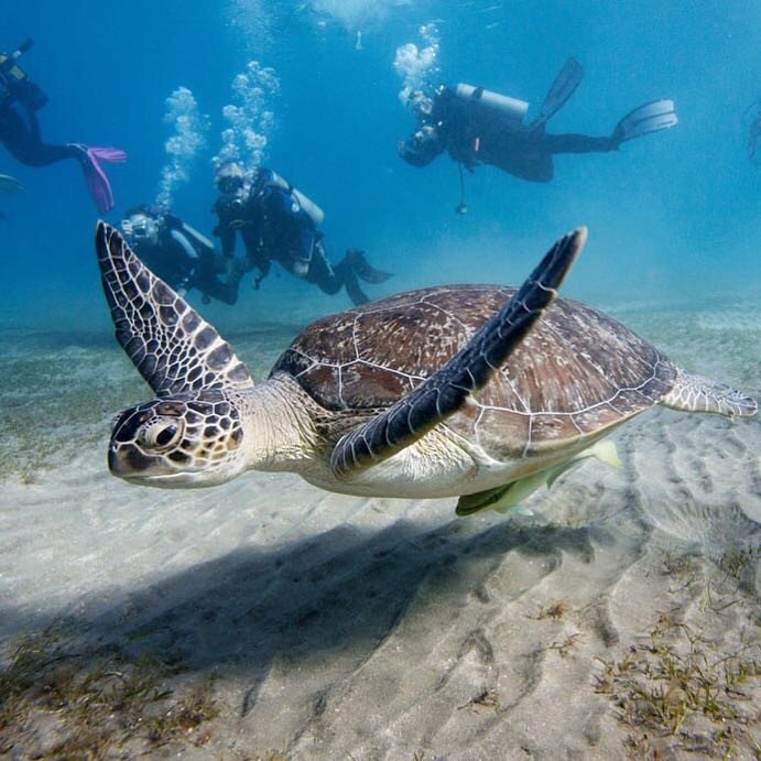 Esperienza di navigazione attraverso l'Atlantico da Saint Martin a Cadice